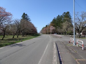 3日目　やっと駐車できそうな所